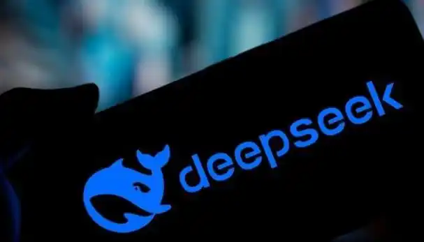 DeepSeek大语言模型