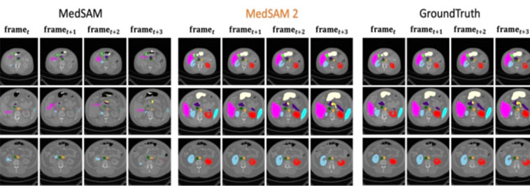 CJRC 中文法律阅读理解数据集